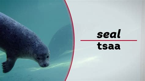 How to Say Sealant in Filipino .
